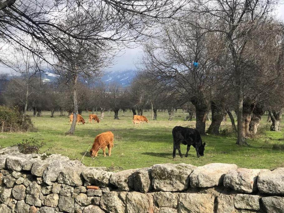 Guadarrama, Atico Nuevo Con Espectaculares Vistasアパートメント エクステリア 写真